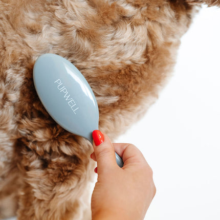 Gentle Detangling Brush