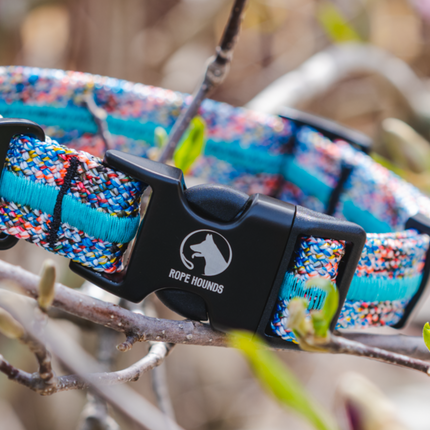Adventure Dog Collar - Multicolor