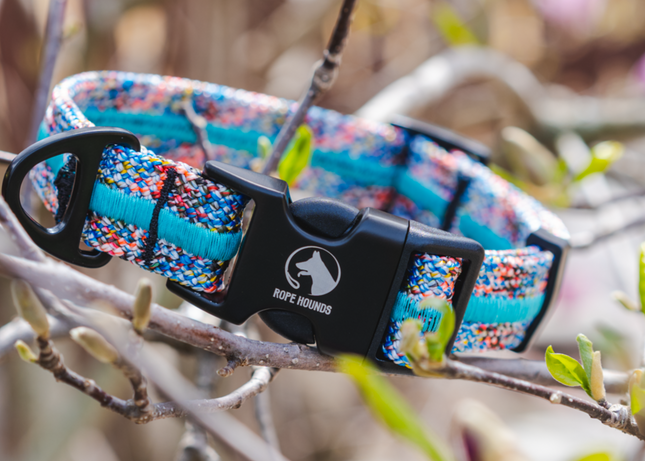 Adventure Dog Collar - Multicolor
