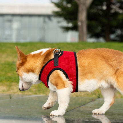 Mr. Peanut's PupTrek Harness and Leash Set,  Small Dog/Cat Soft Mesh Step In Harness Vest