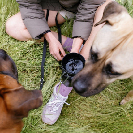 Flip Dog Travel Bottle