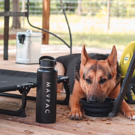 Insulated Water Bottle