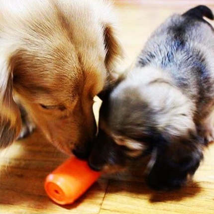 Can Toy eDispenser Durable Rubber Chew Toy & Treat Dispenser - Average Chewer