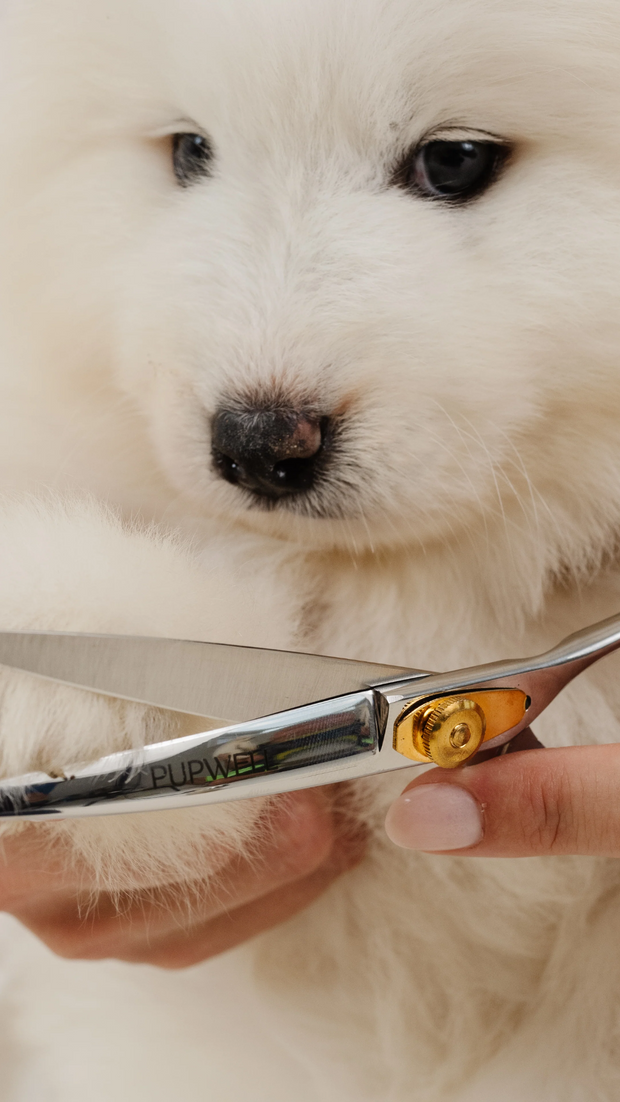 <h1>Grooming Tools</h1>