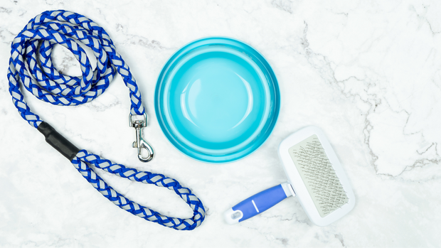 <h2>Dog Supplies</h2>