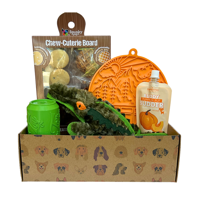 The Collective Variety Box for Dogs