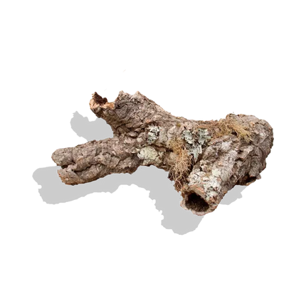 Micro Cork Pieces
