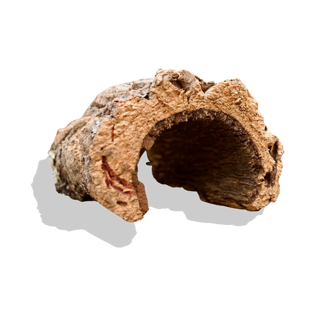 Cork Bark Half Rounds (Sellers Choice)