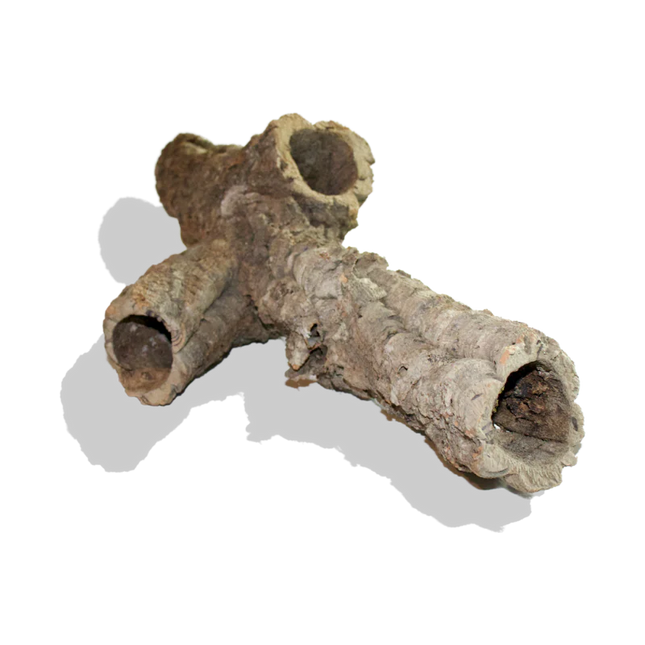 Cork Bark Rounds (Sellers Choice)