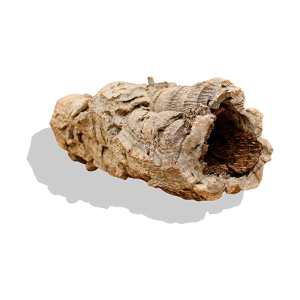 Cork Bark Rounds (Customizable)