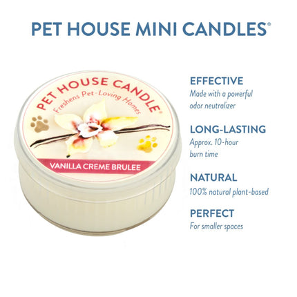 Vanilla Creme Brulee Mini Candle
