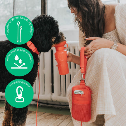 Walk Bag + Dog Leash