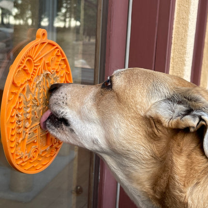 The Collective Variety Box for Dogs