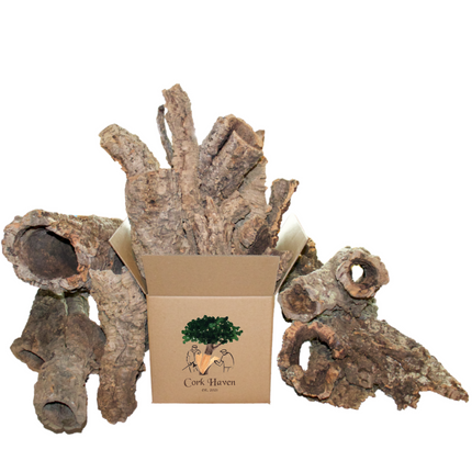 Cork Bark Rounds (Sellers Choice)