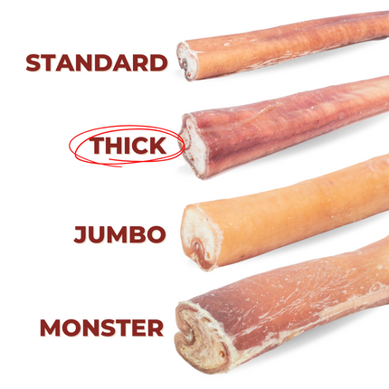 12 Inch Thick Bully Stick