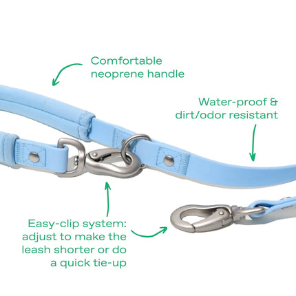 Small Dog Leash