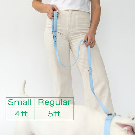 Small Dog Leash