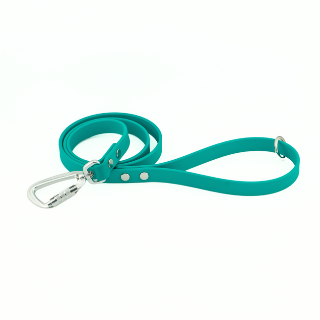 Eco BioThane® Dog Leash | The Good Pet Collective