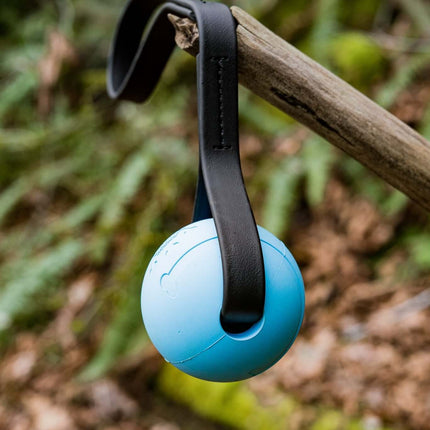 Element Sewn BioThane® Tug | The Good Pet Collective