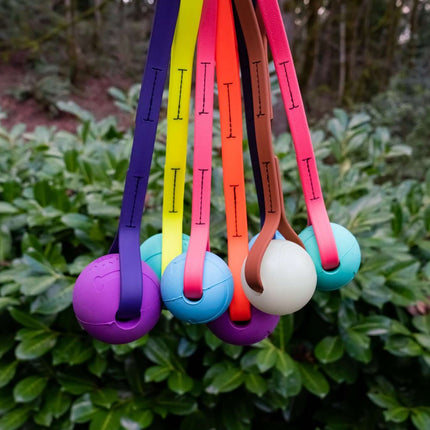 Element Sewn BioThane® Tug | The Good Pet Collective