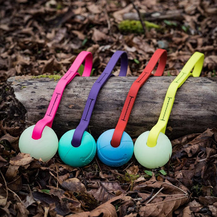 Element Sewn BioThane® Tug | The Good Pet Collective
