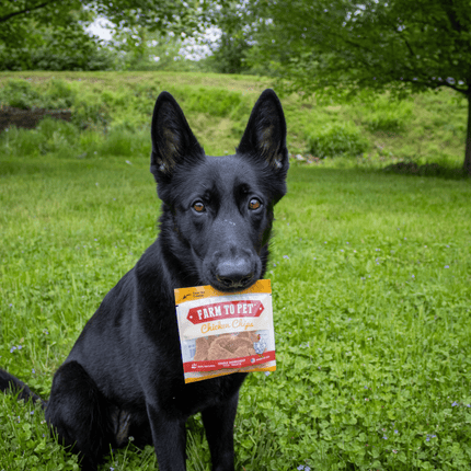 Chicken Chips Snack Pack Bundles | Dog Party Favors and Training Treats