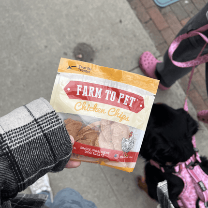 Chicken Chips Snack Pack Bundles | Dog Party Favors and Training Treats