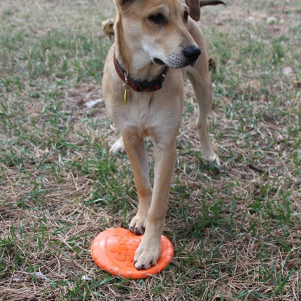 Bottle Top Flyer Durable Rubber Retrieving Frisbee - Orange