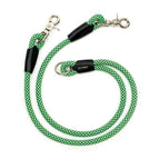 Green Lizard