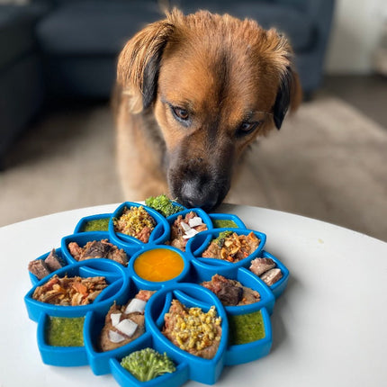 Mandala Design eTray Enrichment Shallow Slow Feeder Dog Bowl