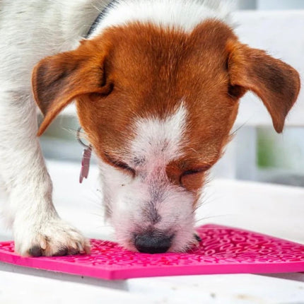 Flower Power Design eMat Enrichment Lick Mat