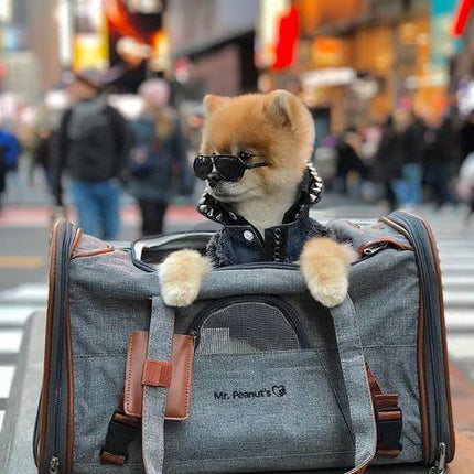 Mr. Peanut's Gold Series Standard Size Airline Compliant Pet Carrier