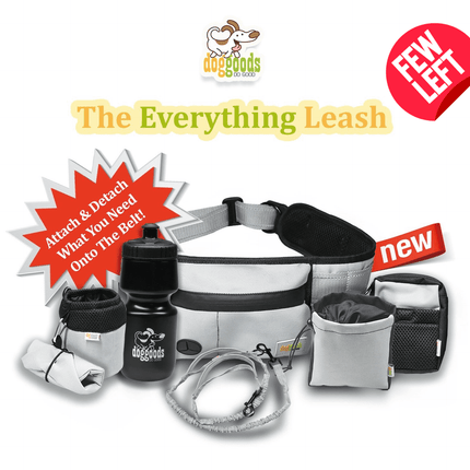 Dog Leash Fanny Pack (The Everything Leash) by DogGoods ™