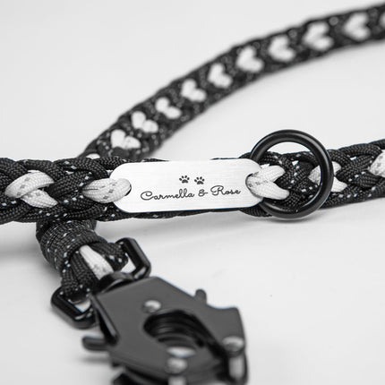 Forever Leash