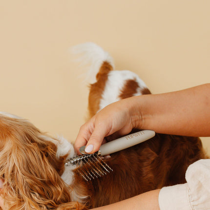 The Detangler