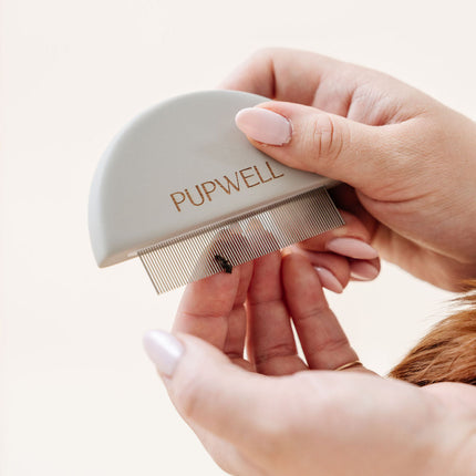 Detailer Comb