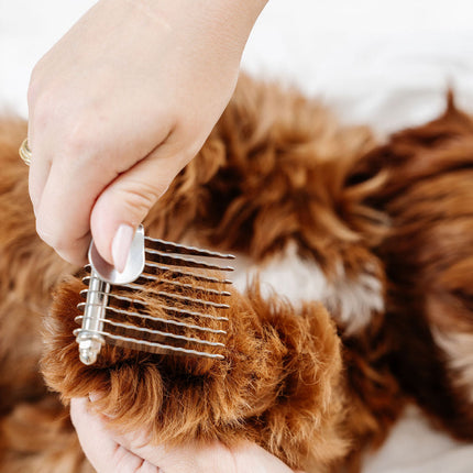 The Detangler