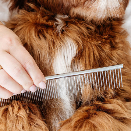 Pup Parent Essentials