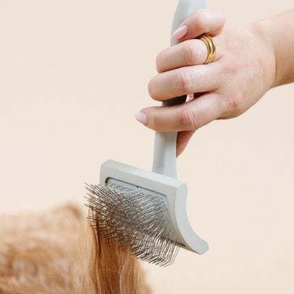 Ultimate Dog Grooming Kit
