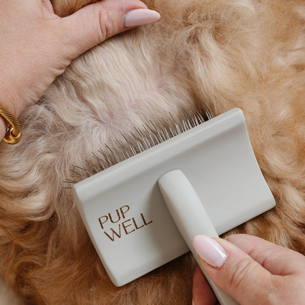 Pup Parent Essentials