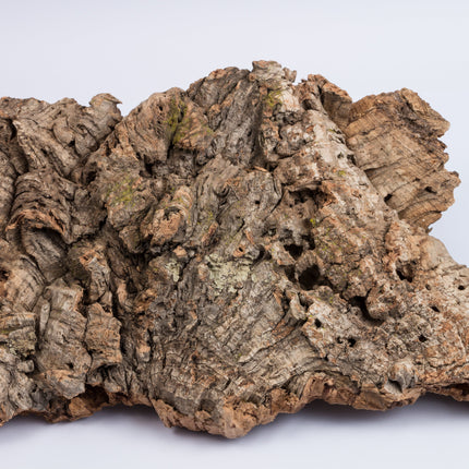 Cork Bark Flats (Sellers Choice)