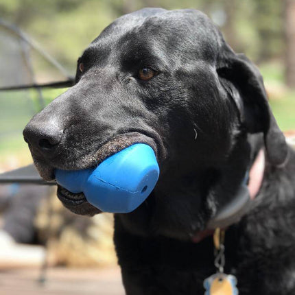 Double Trouble eDispenser Durable Rubber Chew Toy and Treat Dispenser