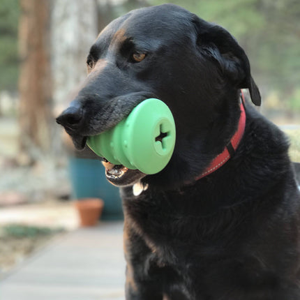Christmas Tree eDispenser Durable Rubber Chew Toy & Treat Dispenser