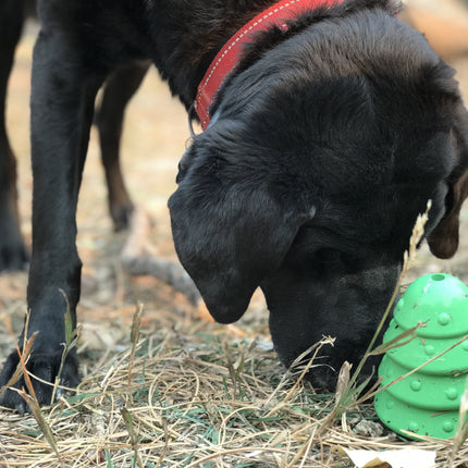 Christmas Tree eDispenser Durable Rubber Chew Toy & Treat Dispenser