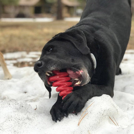 Christmas Tree Ultra Durable Nylon Dog Chew Toy