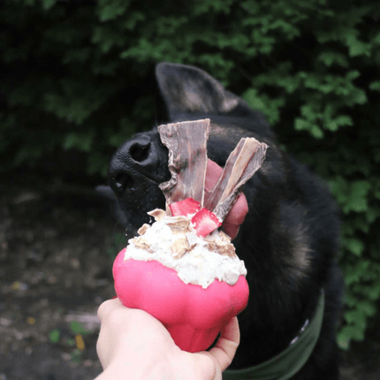 Cupcake eDispenser Durable Rubber Chew Toy & Treat Dispenser