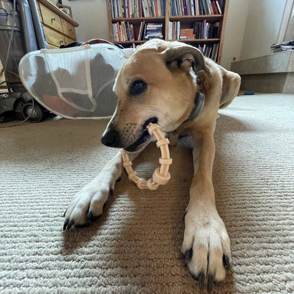 Honey Bone Chicken Flavored Teething Ring