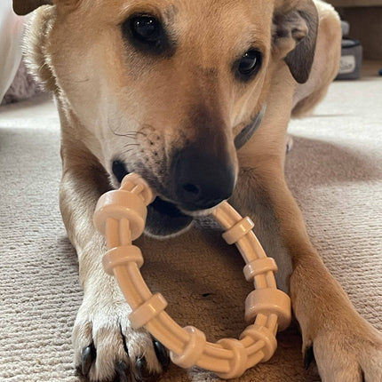 Honey Bone Chicken Flavored Teething Ring