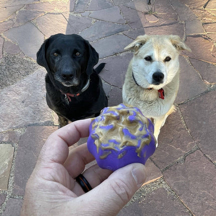 Cross Bones Chew Toy and Treat Pocket