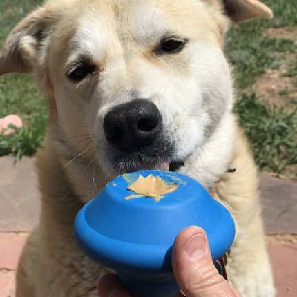 Flying Saucer eDispenser Durable Rubber Chew Toy & Treat Dispenser